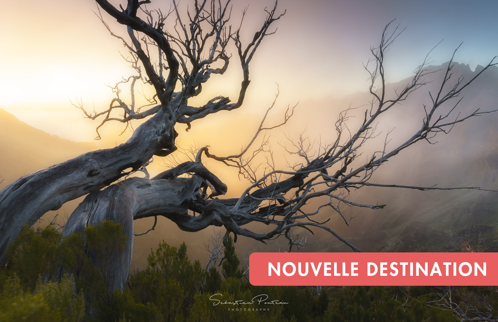 Voyage Photo Madère